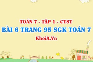 Bài 6 trang 95 SGK Toán 7 tập 1 Chân trời sáng tạo
